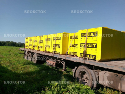 Газосиликатные U-блоки (П-блоки) Istkult 500х250х200, D500